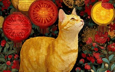 Yêu nhanh, chán vội: Những con giáp khiến đối phương dễ tổn thương nhất