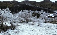 Không khí lạnh suy yếu, miền Bắc vẫn chìm trong rét đậm