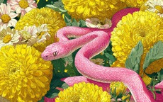 Không phải con giáp nào cũng thuận lợi đầu năm 2026: 3 cái tên cần đề phòng