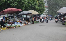 Hà Nội: Chợ cóc trong ngõ 70 Nguyễn Hoàng vẫn tiếp tục hoạt động rầm rộ