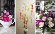 Cách cắm hoa tươi chơi Tết lâu tàn