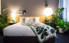 Loại cây trồng nhả khí ô xy ban đêm, đặt trong phòng ngủ tốt cho phong thủy, giúp luôn có một giấc ngủ ngon