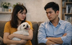 Bàn chuyện cưới, bạn trai không cho tôi mang theo cún cưng