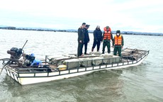 Thu giữ gần 1 tấn nầm lợn đông lạnh không nguồn gốc trên biển