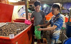 Cận cảnh đường dây dùng 500 tấn hóa chất 'phù phép' 3.000 tấn thịt ốc bán ra thị trường
