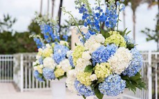 Những cách cắm hoa cẩm tú cầu độc đáo, tươi lâu chơi Tết