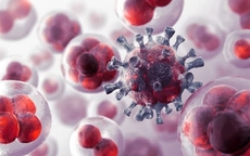 Nguyên nhân tế bào ung thư xuất hiện trong cơ thể, người Việt cần hiểu đúng để ngừa bệnh