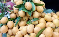 Chợ Việt bán một loại quả vàng ươm, thơm nức được ví như thuốc bổ khiến chị em thi nhau 'săn đón'