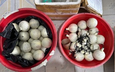 Đánh sập đường dây sản xuất, buôn bán pháo nổ số lượng lớn