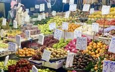 Một loại cam Việt đổ đống bán đầy chợ giá rẻ hơn rau, chỉ vài nghìn đồng/kg nhưng rất thành mát, bổ dưỡng