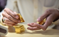 Những chính sách mới nào có hiệu lực từ tháng 2/2026?