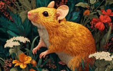 Càng gần Rằm tháng Chạp, 3 con giáp này càng đón nhiều tin vui tài chính