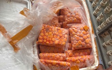 Hà Nội: Chặn đứng 3 xe container chở hơn 12 tấn 'đặc sản' sụn gà, trứng non không rõ nguồn gốc