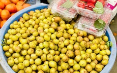 Loại quả rừng vị “khổ trước sướng sau” bất ngờ thành món đặc sản được nhiều người “săn đón”