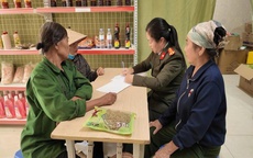 Hà Nội: Lật tẩy chiêu trò thuê người Hàn Quốc diễn thuyết, bán sâm rởm giá 'cắt cổ' cho người già