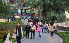 Hướng xuất hành cho năm mới sau Tết Dương lịch: Tài lộc vạn sự hanh thông