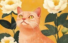 Những con giáp 'nhìn thấu lòng người': Càng tiếp xúc lâu càng sợ