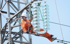 Lịch cúp điện Tây Ninh tuần này (từ 6 - 11/1/2026): Hàng loạt khu dân cư cả ngày không có điện để dùng