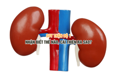 Suy thận độ 1 - Nhận biết thế nào, cải thiện ra sao?