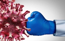 Loại quả ngọt thơm có công dụng hỗ trợ ngăn ngừa tế bào ung thư, người Việt nên ăn đúng cách để phòng bệnh