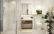 6 loại cây cảnh trồng trong nhà vệ sinh vừa đẹp vừa hút khí xấu và vị trí không nên đặt để đem lại trường khí phong thủy tốt