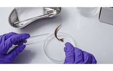 Thấy cháu không giống con trai, bà nội lén xét nghiệm ADN lộ ra bí mật khiến bà ngất xỉu