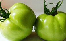 Tác hại ăn cà chua xanh khi không chế biến đúng cách