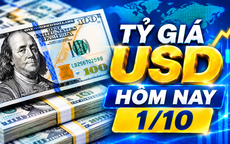 Tỷ giá USD hôm nay 1/10: Đồng Đô la Mỹ 'chợ đen' giảm