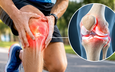 Càng đi bộ càng đau khớp gối: Sai lầm tập luyện người sau tuổi 50 không nên mắc