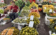 Hồng vào mùa bán đầy thị trường, loại rẻ bèo loại đắt ngang trái cây nhập khẩu