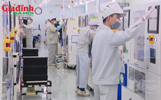 Gần 15.000 doanh nghiệp được hoàn thuế