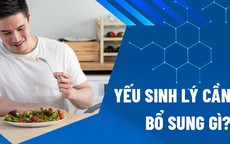 Các thực phẩm giúp tăng cường sinh lý nam