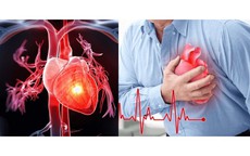 Miền Bắc chênh lệch nhiệt độ lớn trong ngày: Cách phòng ngừa sốc nhiệt và co mạch đột ngột ở người già, trẻ nhỏ