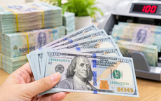 Tỷ giá USD hôm nay 24/10: Giá USD bán ra quanh vùng 26.000 đồng, người mua cần lưu ý những gì?