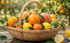 7 thực phẩm lành mạnh nên có trong chế độ ăn ngừa ung thư vú