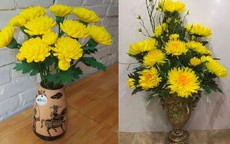 Vì sao giữa rất nhiều loài hoa, cúc vàng lại được lựa chọn để dâng cúng?