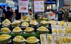 Sầu riêng của Việt Nam có gì đặc biệt mà được thị trường quốc tế liên tiếp đặt hàng?