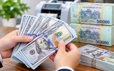 Tỷ giá USD hôm nay 31/10: Giá USD khối ngân hàng đồng loạt giảm xuống dưới 26.000 đồng/USD bán ra, có nên mua USD lúc này?