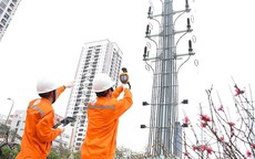 Lịch cúp điện Đồng Tháp từ ngày 5 - 11/10/2026: Hàng loạt khu dân cư sẽ bị cúp điện từ sáng sớm đến chiều tối