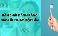 Bao lâu nên thay bàn chải đánh răng 1 lần? Các phương pháp làm sạch bạn nhất định phải biết
