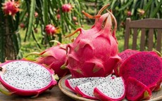 Thanh long giúp cải thiện táo bón khi thời tiết khô hanh