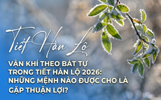 Vận khí trong tiết Hàn Lộ 2026: Những mệnh nào được cho là gặp thuận lợi?