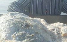 Đánh cá trên biển, 3 ngư dân vớt được thứ trị giá 67 tỷ đồng