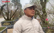 Từ chiếc xe đạp cọc cạch đến chủ vườn hơn nghìn gốc đào giữa lòng thủ đô