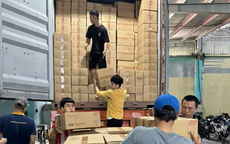 Sinh viên vật vã mưu sinh dịp Tết nguyên đán