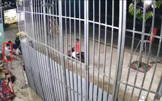 Nam thanh niên bị nhóm 8 đối tượng chặn chém, cướp sạch tài sản khi đang trên đường về quê ăn Tết