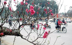 Điểm danh những nơi có mưa trong ngày hôm nay do ảnh hưởng của không khí lạnh