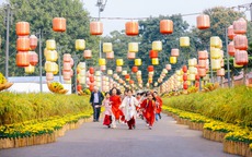 Rực rỡ đường hoa Tết Hoàng thành Thăng Long, sắp hết thời gian miễn phí vé vào cửa