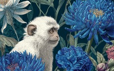 Top con giáp có vận tiền bạc rực rỡ nhất tháng 2, tiền vào từ nhiều nguồn