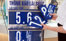 Cập nhật lãi suất BIDV, Agribank mới nhất: Bất ngờ số tiền về tay khi gửi 100 triệu đồng vào BIDV